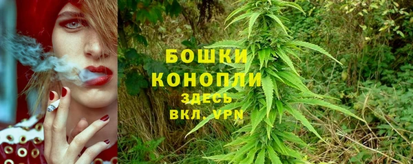 винт Абаза