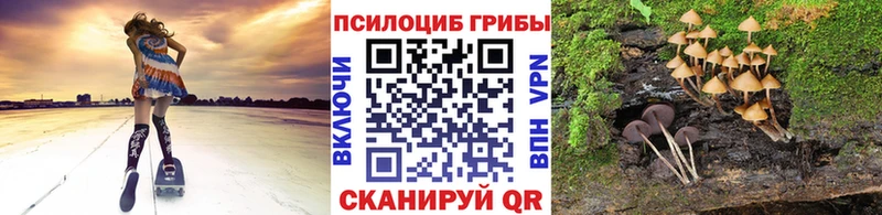 Псилоцибиновые грибы ЛСД  где продают наркотики  Алейск 