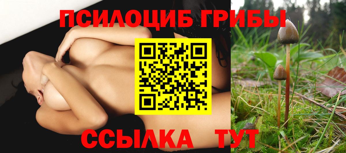 Псилоцибиновые грибы GOLDEN TEACHER Алейск