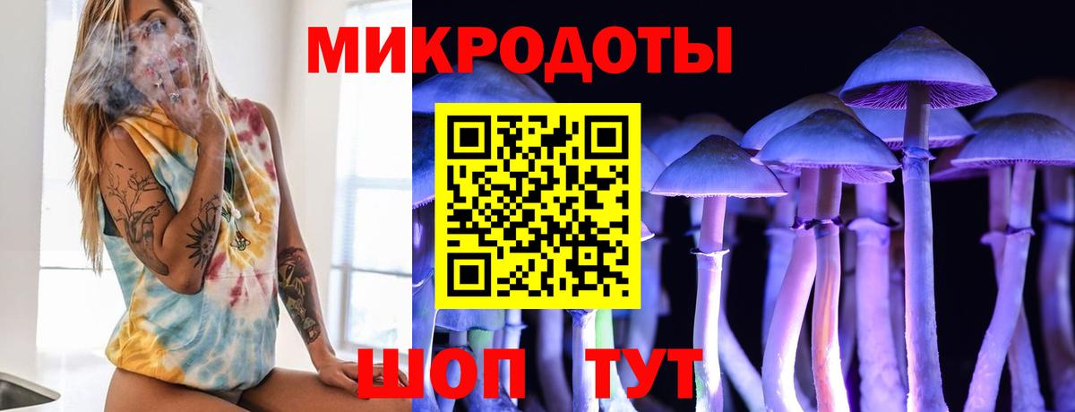 Псилоцибиновые грибы Magic Shrooms  Вход с VPN  Алейск  Галлюциногенные грибы Psilocybe 