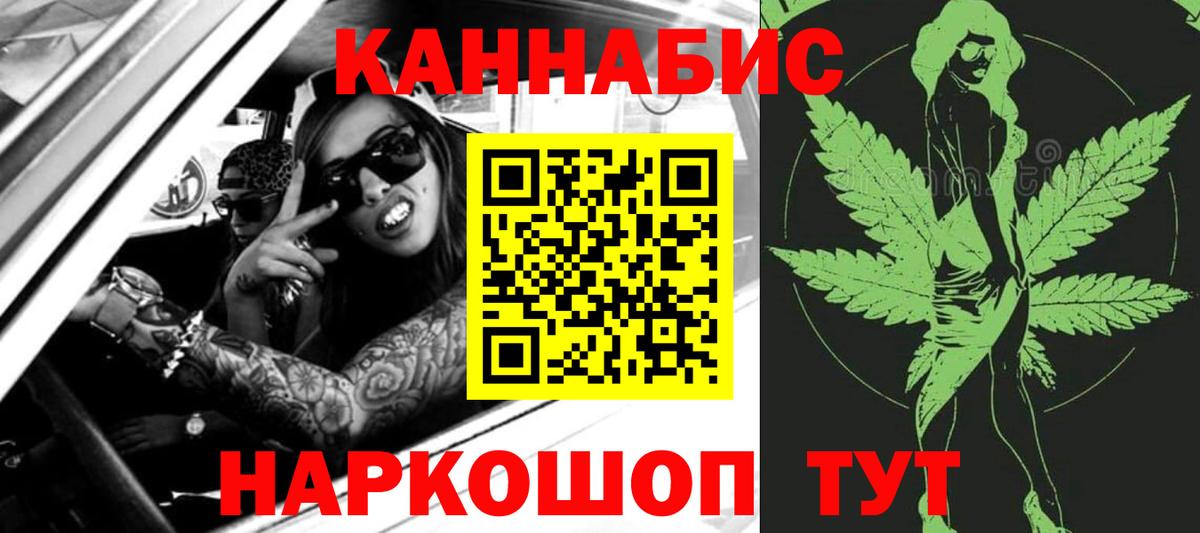 Каннабис сатива Алейск